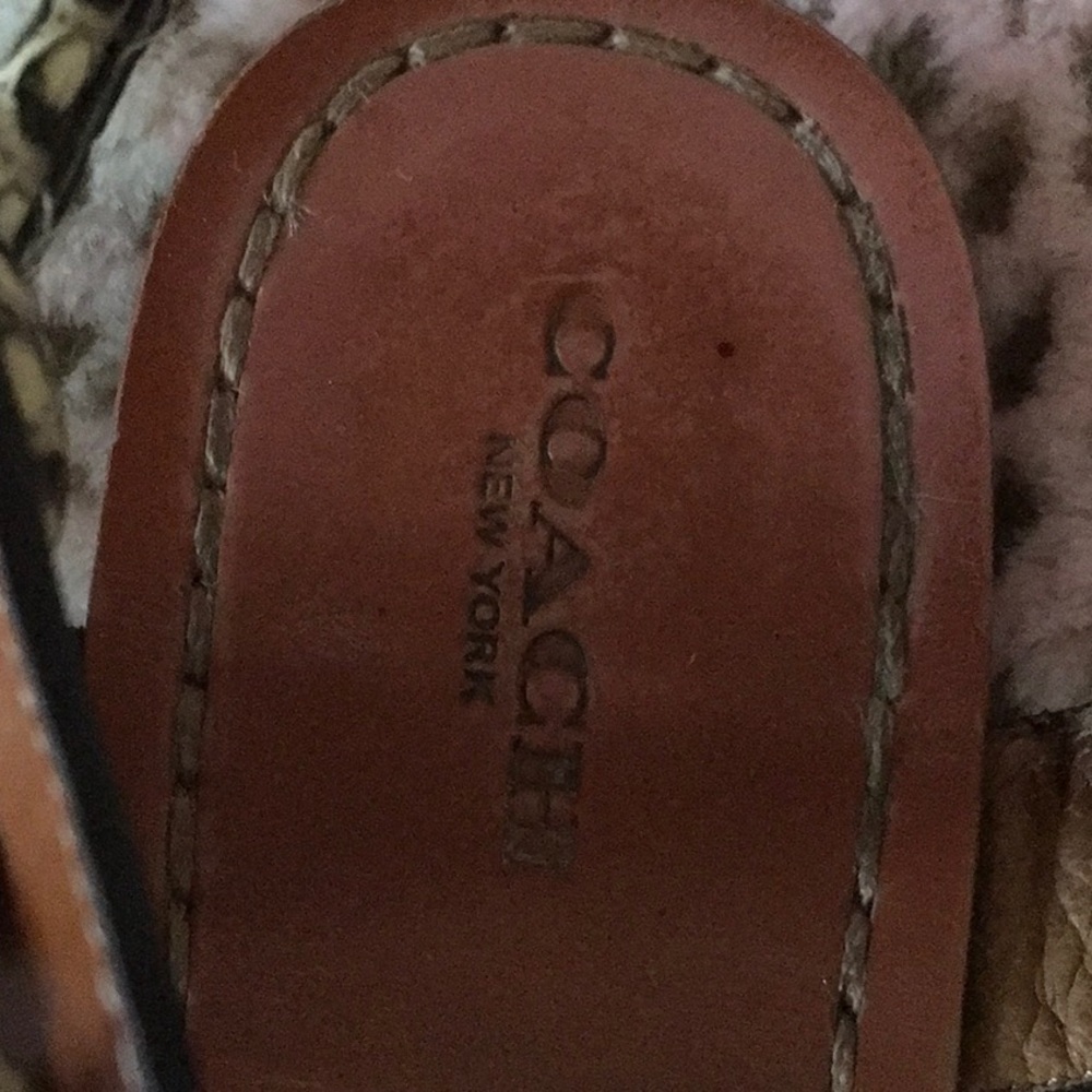 Snake Coach Sandals - Picture 4 of 6